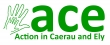 ACE - Action in Caerau & Ely